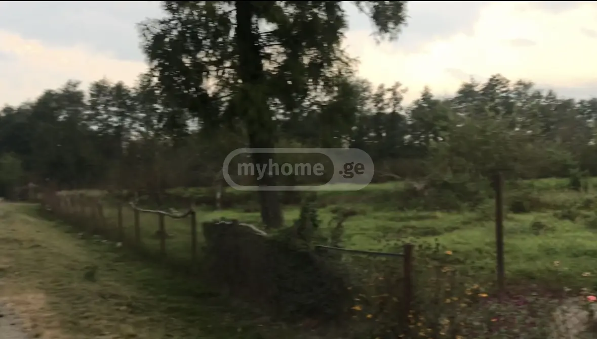 Non-Agricultural Plot For Sale In Anaklia, In Zugdidi Municipality view 7