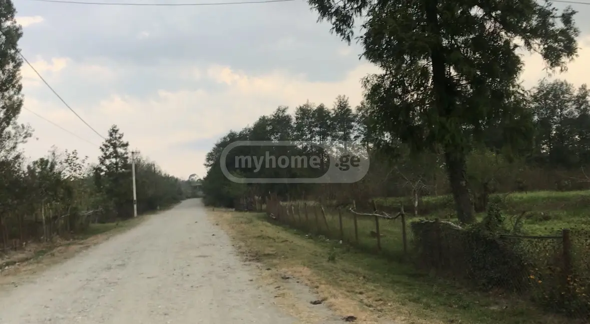 Non-Agricultural Plot For Sale In Anaklia, In Zugdidi Municipality view 12