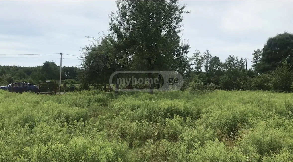 Non-Agricultural Plot For Sale In Anaklia, In Zugdidi Municipality view 9