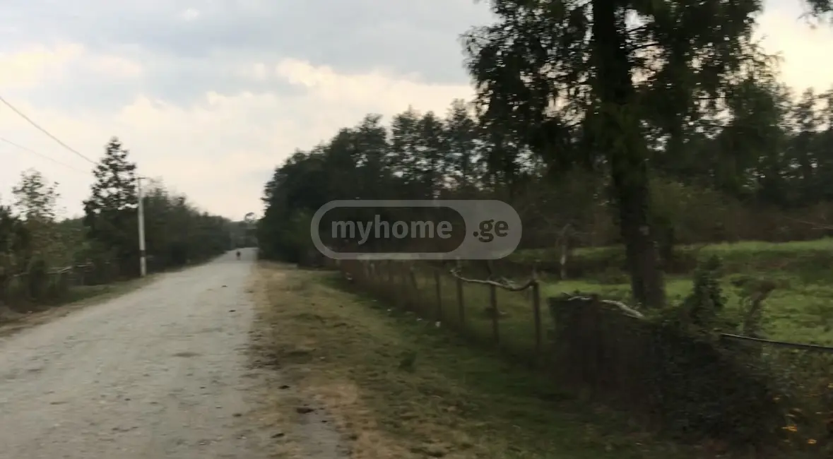 Non-Agricultural Plot For Sale In Anaklia, In Zugdidi Municipality view 15