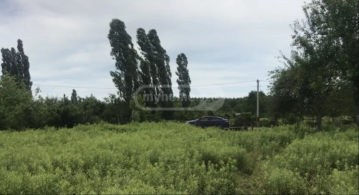 Non-Agricultural Plot For Sale In Anaklia, In Zugdidi Municipality view 4