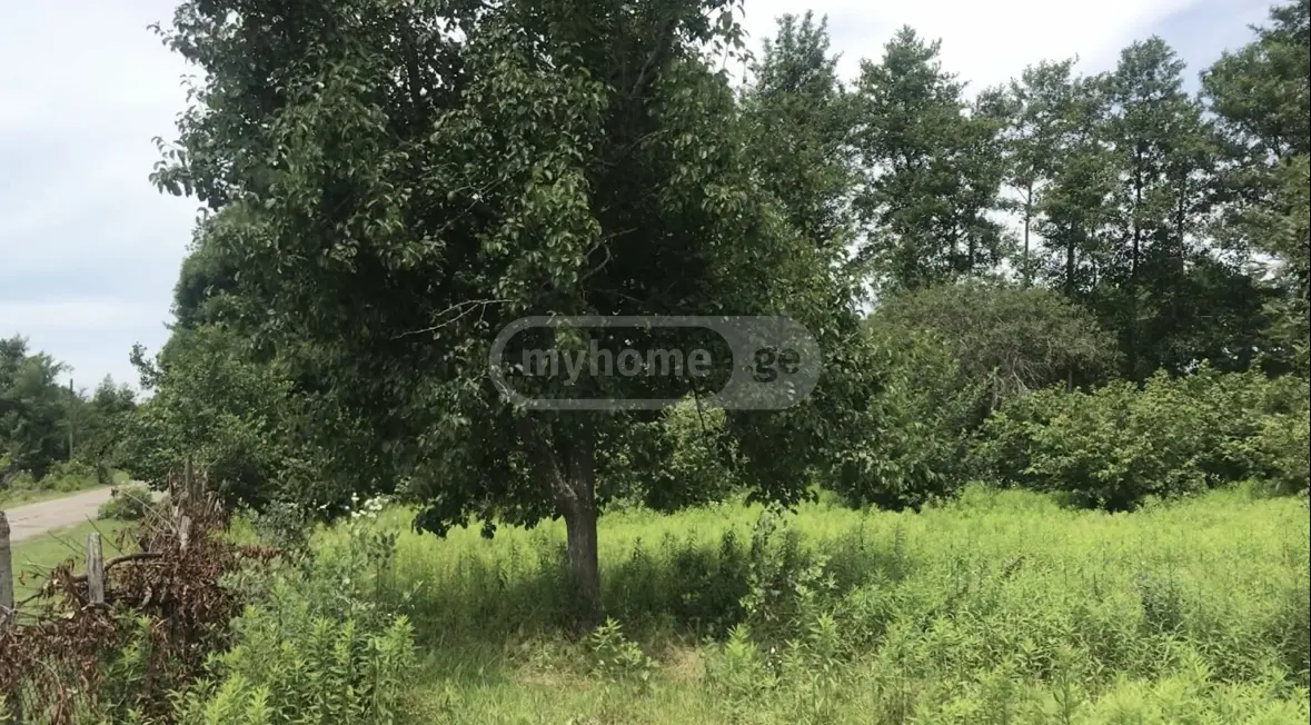 Non-Agricultural Plot For Sale In Anaklia, In Zugdidi Municipality view 5