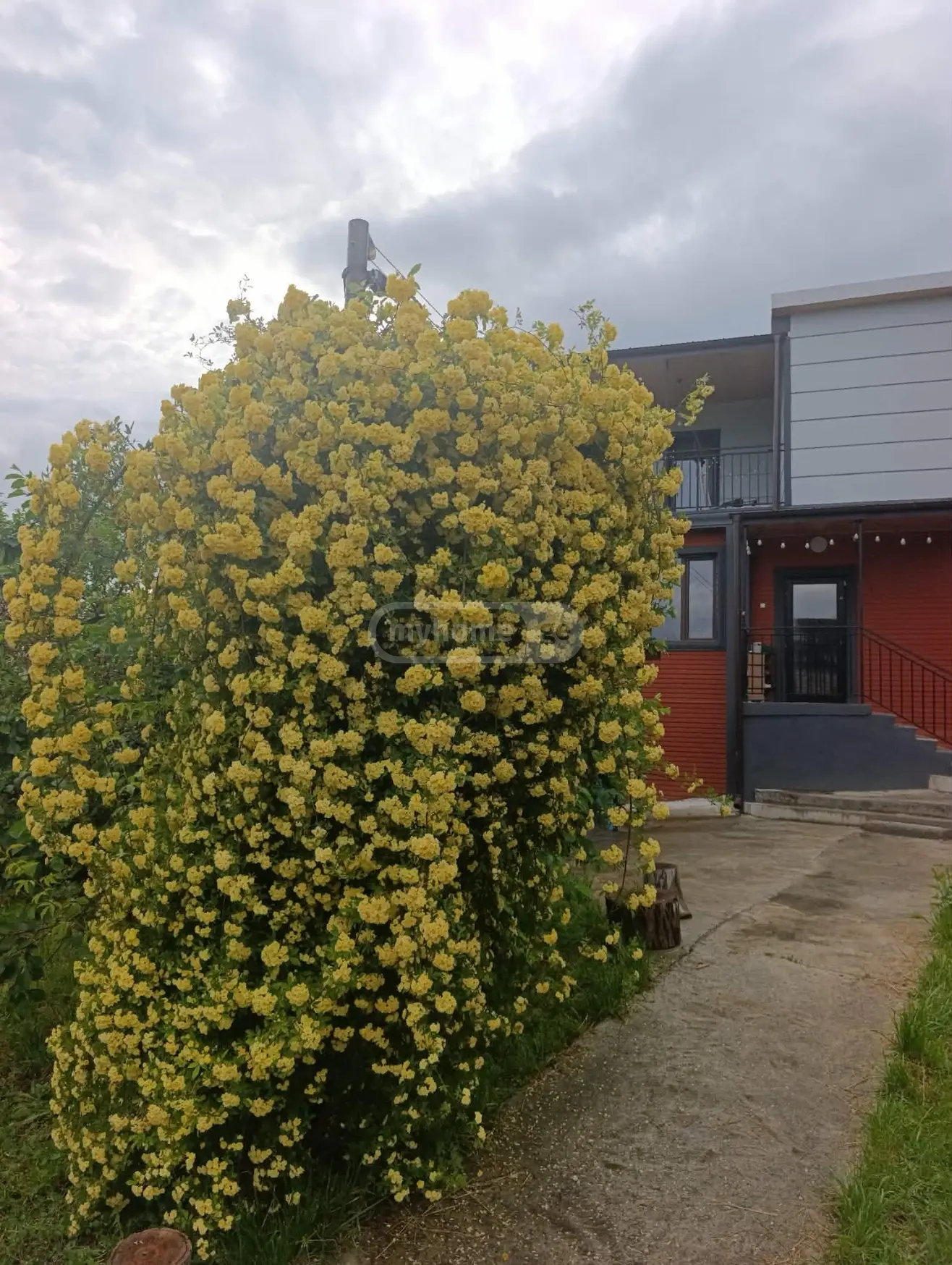 4 Room Private House For Sale view 10