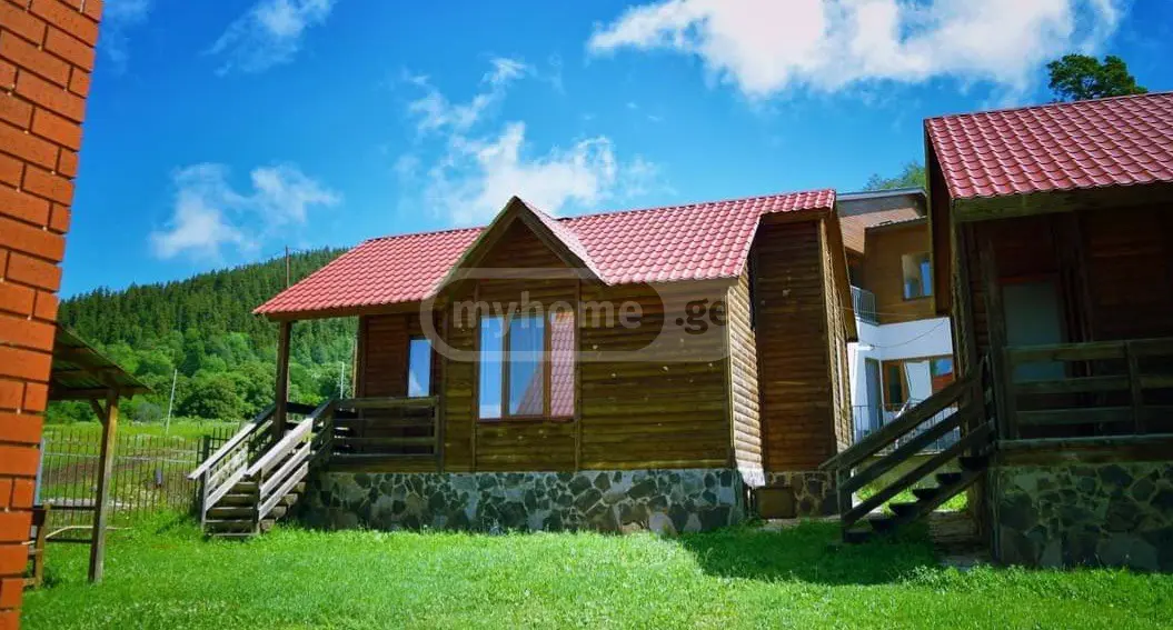 3 Room Country House Daily Rent In Bakuriani view 1