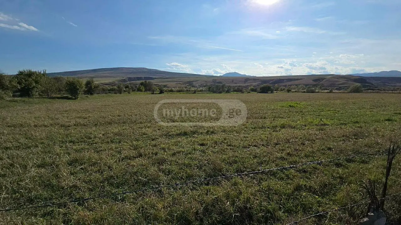 Agricultural Plot For Sale In Gori view 1