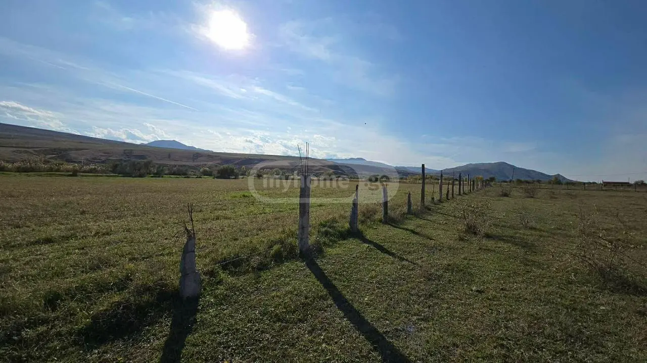 Agricultural Plot For Sale In Gori view 4