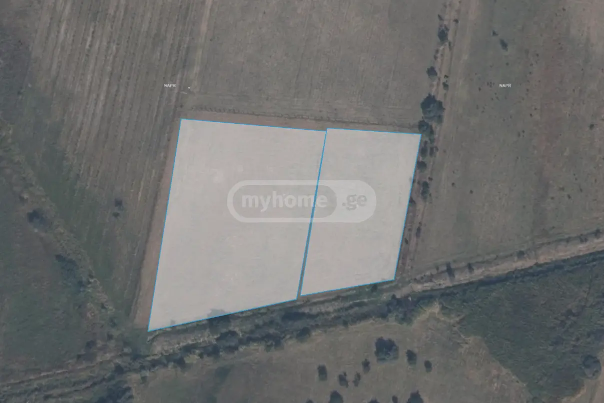 Agricultural Plot For Sale In Gori view 3