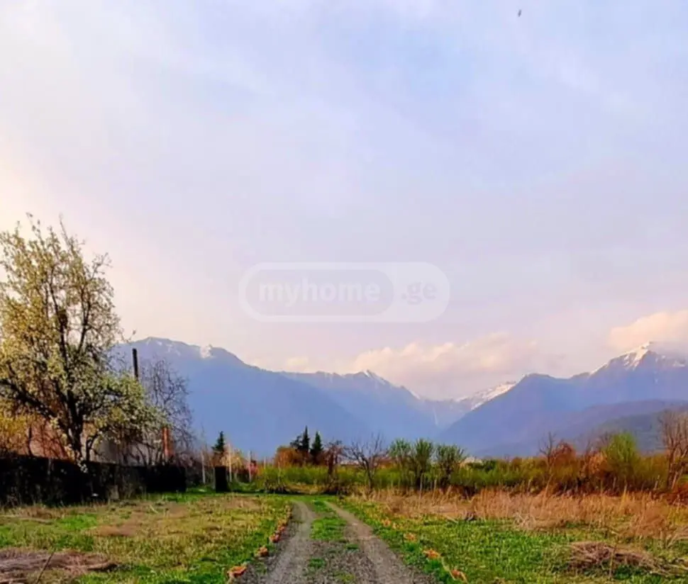 2 Room Private House For Rent In Kvareli view 6