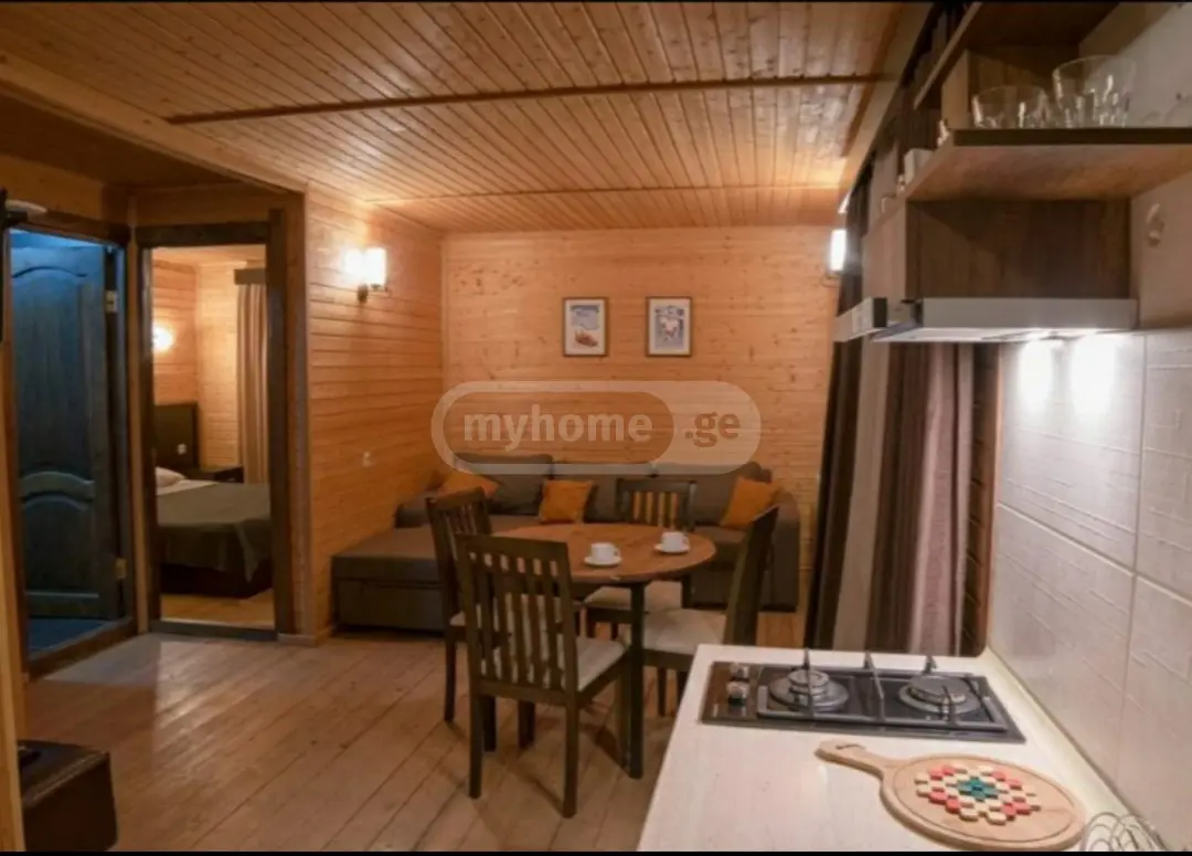 3 Room Country House Daily Rent In Bakuriani view 7