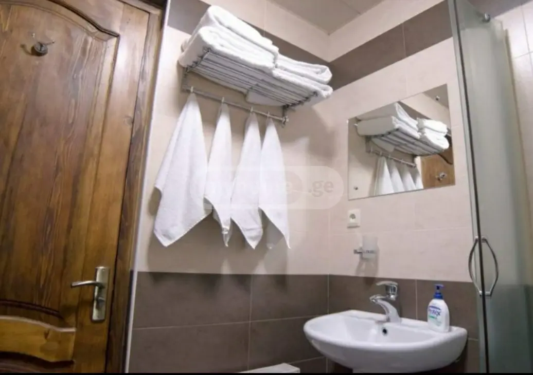 3 Room Country House Daily Rent In Bakuriani view 8