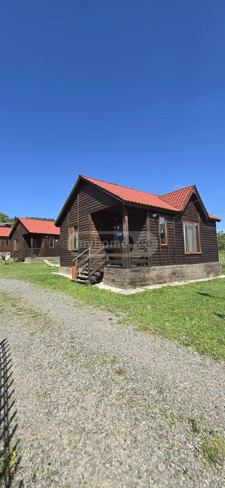 3 Room Country House Daily Rent In Bakuriani view 9