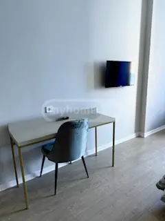 1 Room Apartment For Rent Aeroportis Ubani, In Batumi view 10