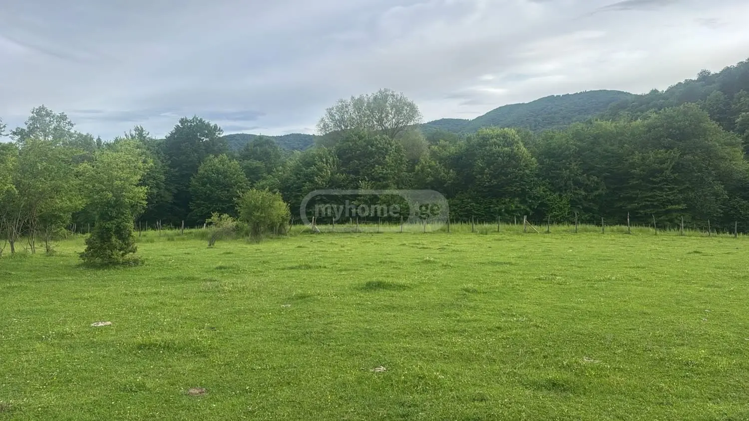 Agricultural Plot For Sale In Lapankuri, In Telavi Municipality view 3