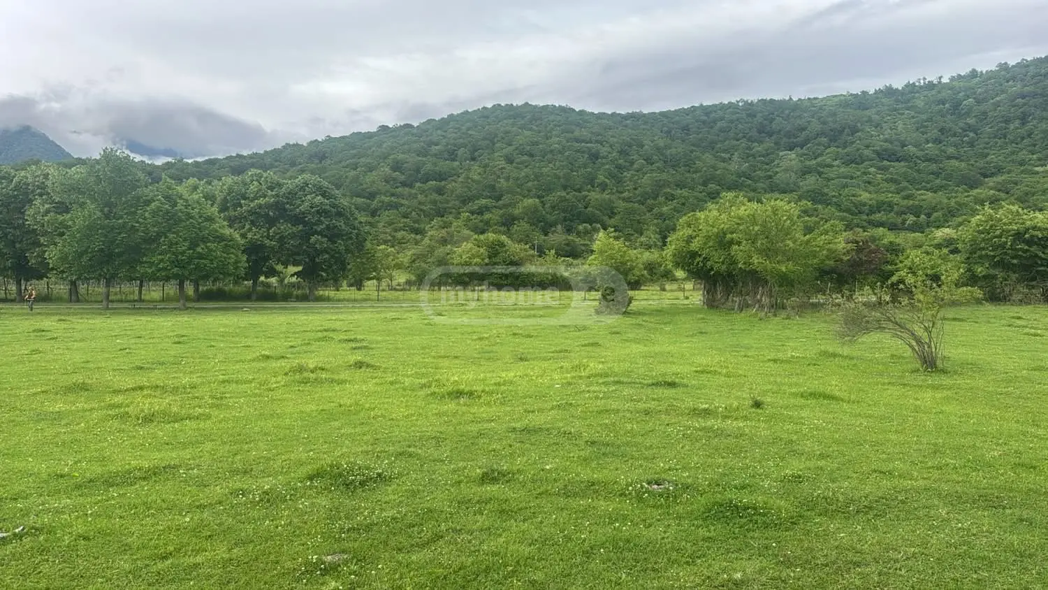 Agricultural Plot For Sale In Lapankuri, In Telavi Municipality view 4