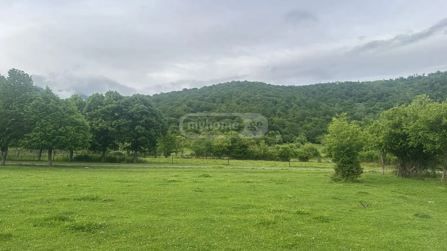 Agricultural Plot For Sale In Lapankuri, In Telavi Municipality view 1