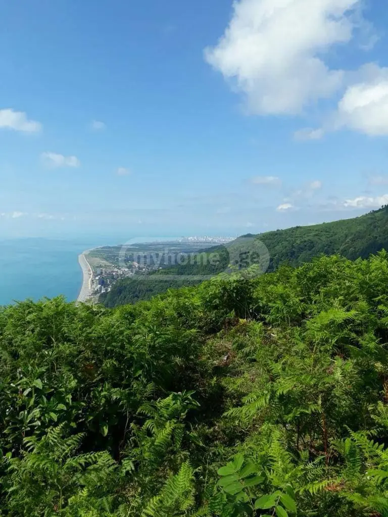 Non-Agricultural Plot For Sale In Kvariati, In Khelvachauri Municipality view 1