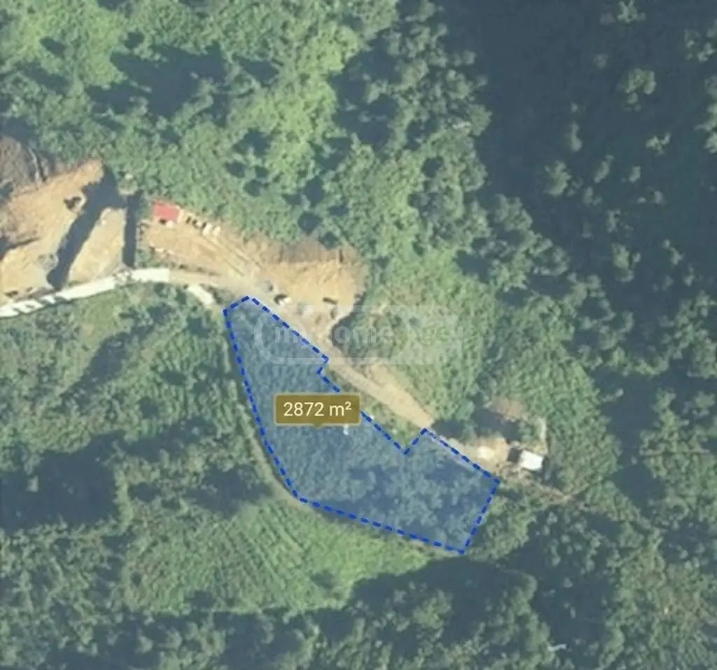 Non-Agricultural Plot For Sale In Kvariati, In Khelvachauri Municipality view 6