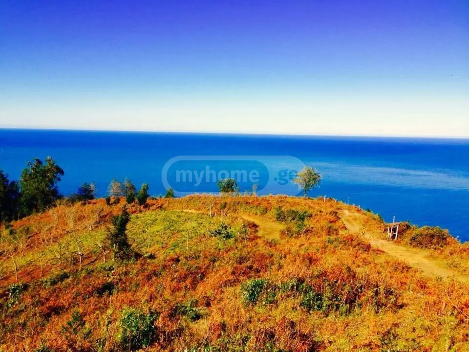 Non-Agricultural Plot For Sale In Kvariati, In Khelvachauri Municipality view 5