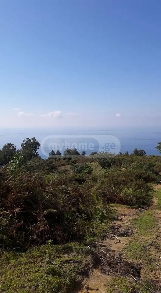 Non-Agricultural Plot For Sale In Kvariati, In Khelvachauri Municipality view 3