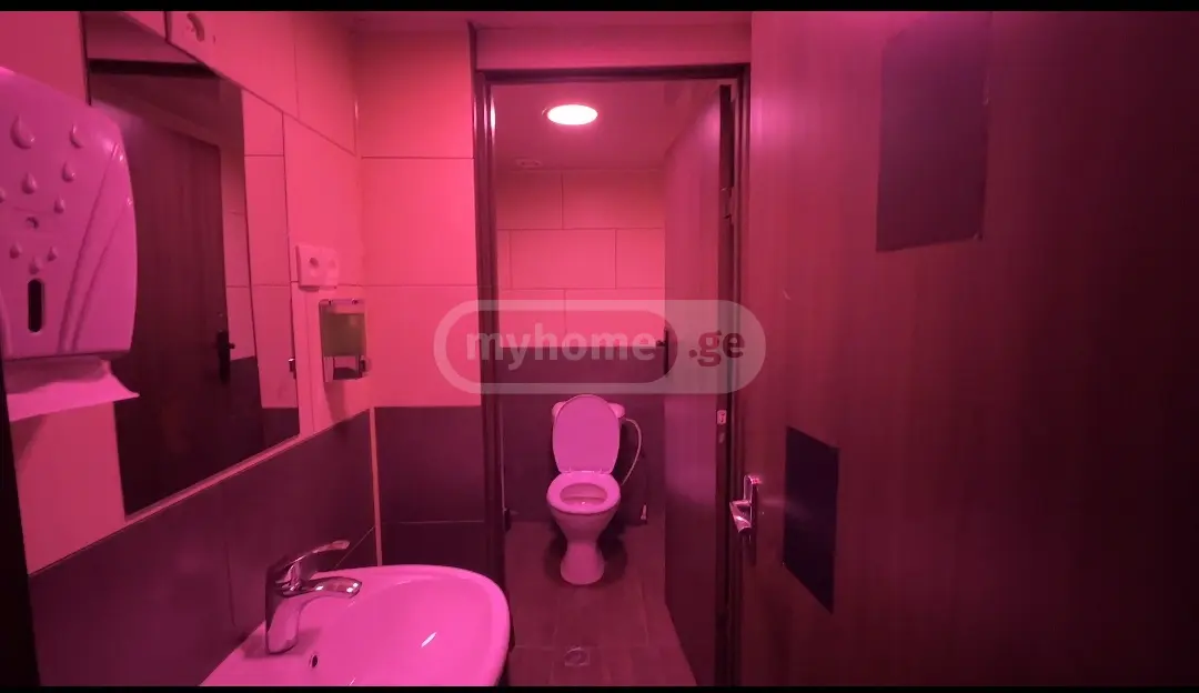 2 Room Private House Daily Rent In Krtsanisi view 10