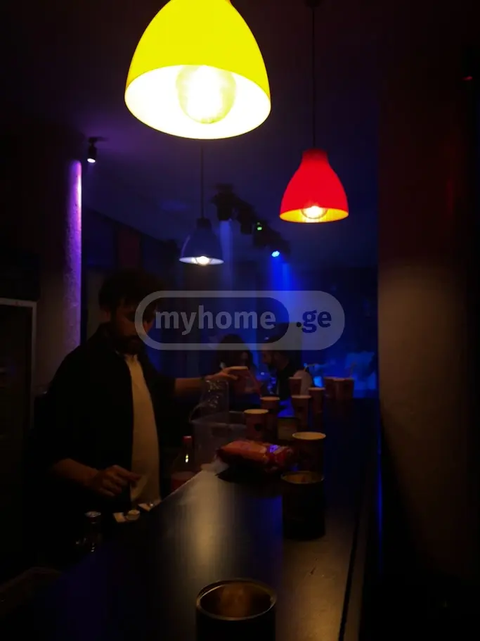 2 Room Private House Daily Rent In Krtsanisi view 7