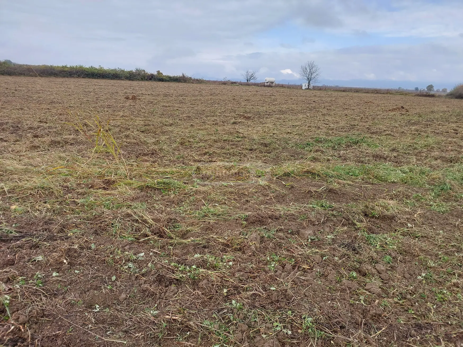 იყიდება Agricultural Plot In Kvareliში view 3