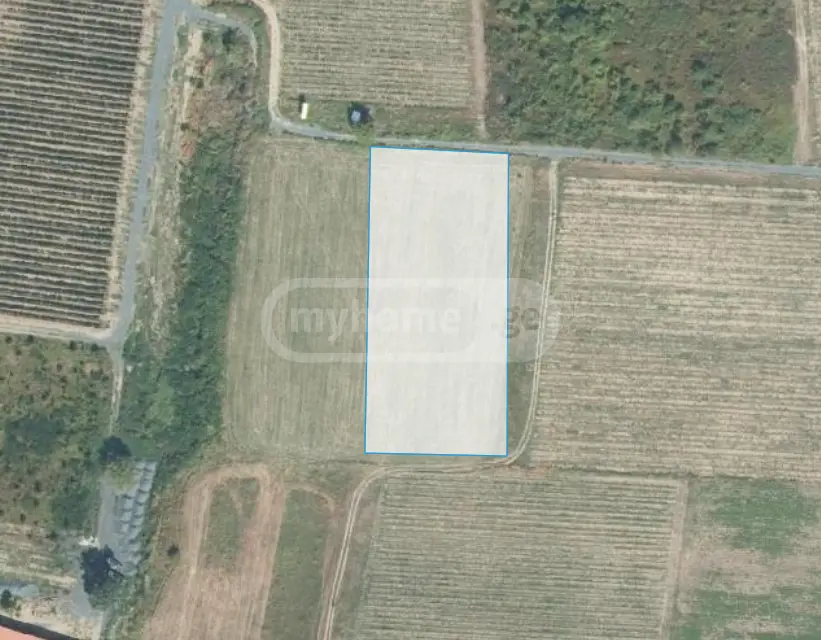 იყიდება Agricultural Plot In Kvareliში view 5