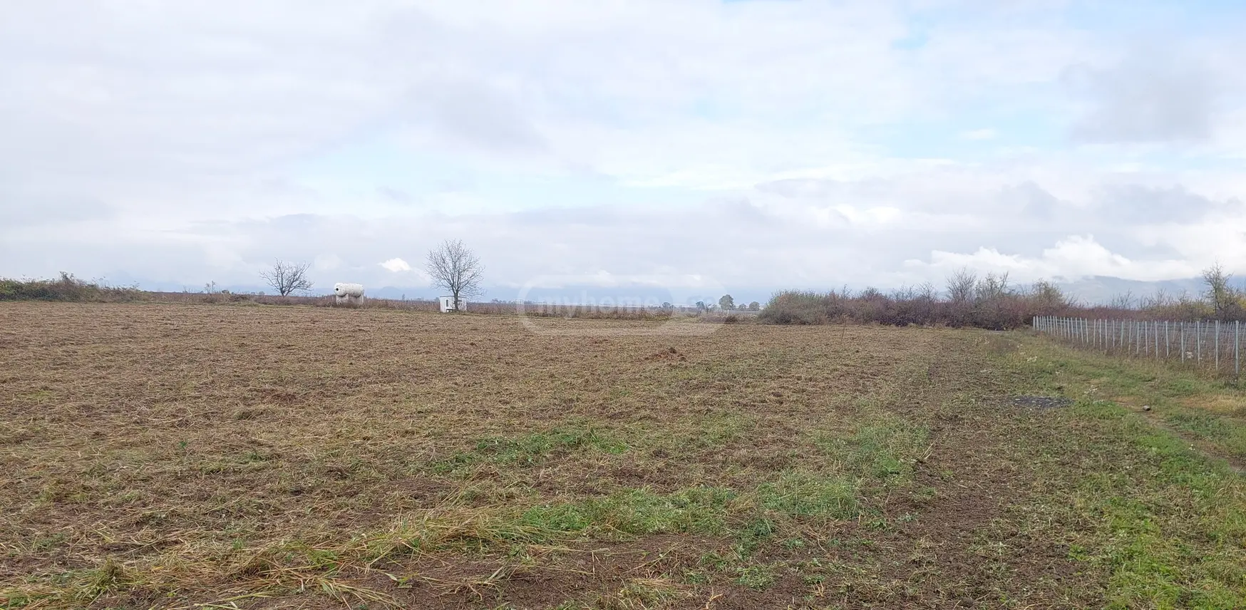 იყიდება Agricultural Plot In Kvareliში view 2