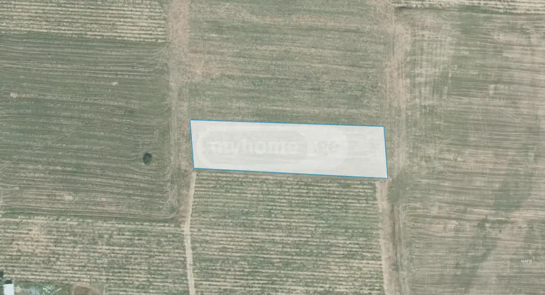 იყიდება Agricultural Plot In Kvareliში view 5