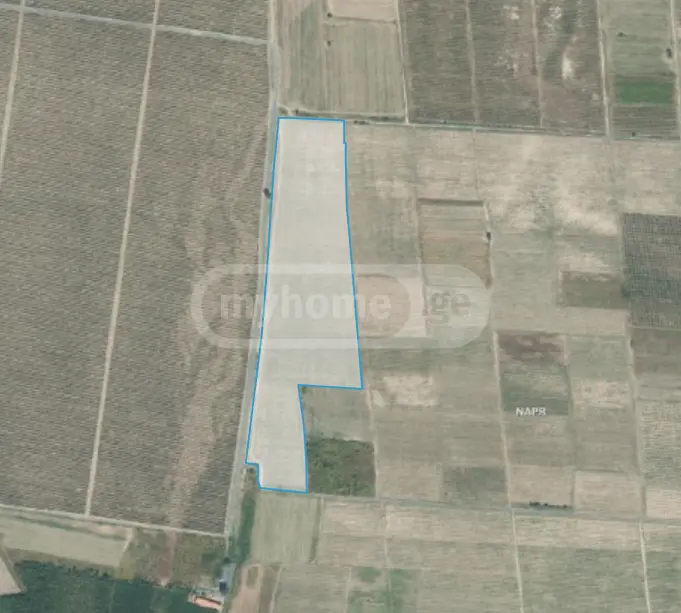 Agricultural Plot For Sale In Kvareli view 4