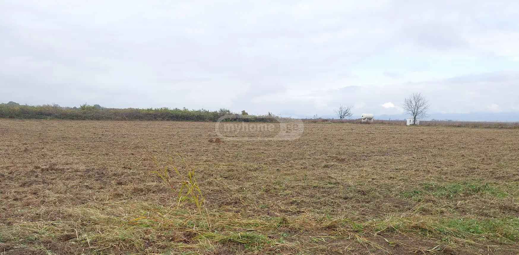იყიდება Agricultural Plot In Kvareliში view 1