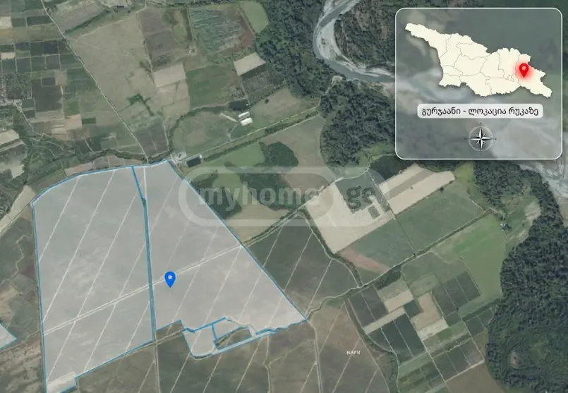 Agricultural Plot For Sale In Akhasheni, In Gurjaani Municipality view 1
