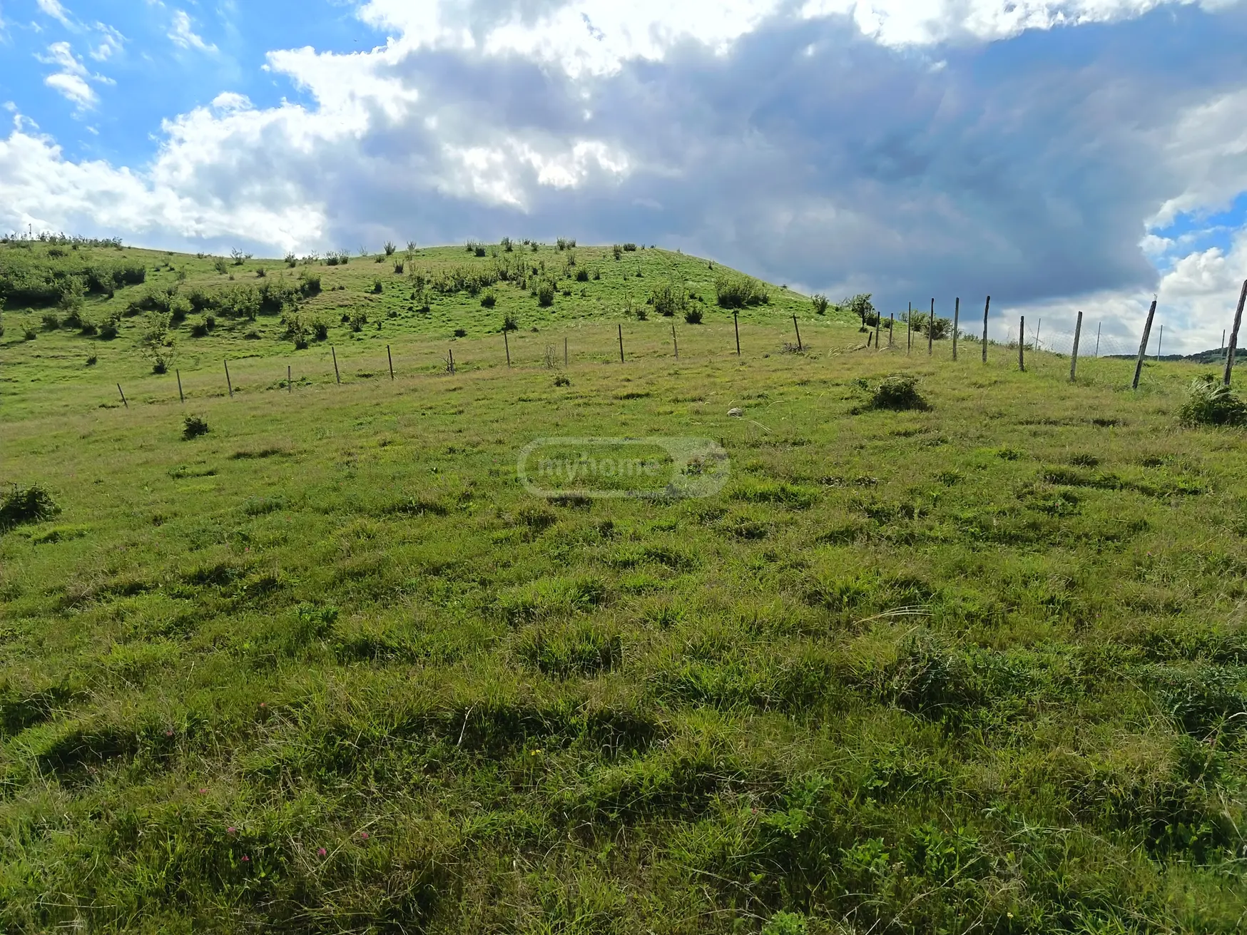Agricultural Plot For Sale In Ujarma, In Sagarejo Municipality view 11