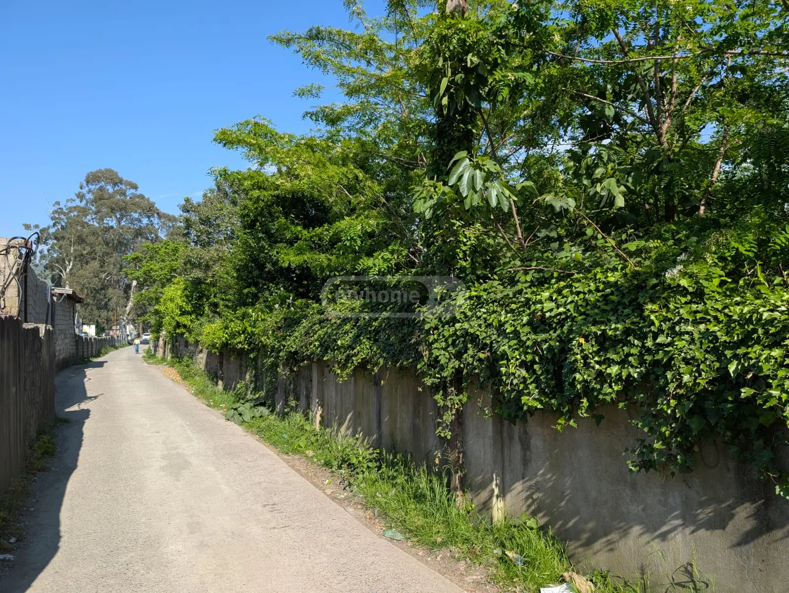 Agricultural Plot For Sale In Batumi view 7