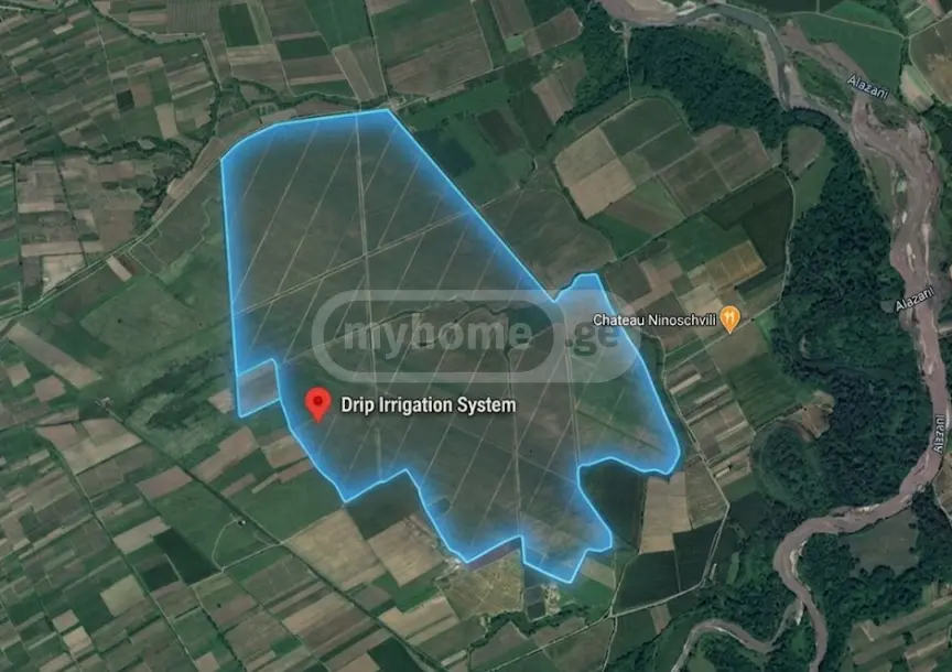 Agricultural Plot For Sale In Akhasheni, In Gurjaani Municipality view 1