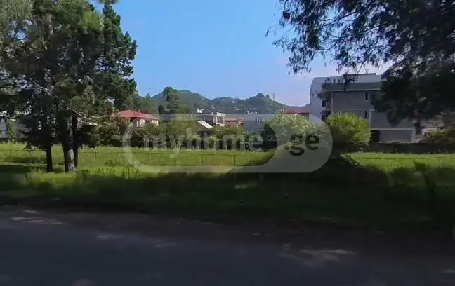 Agricultural Plot For Sale In Batumi view 6