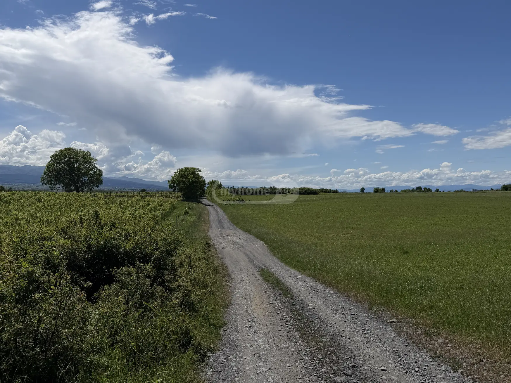 Agricultural Plot For Sale In Kvareli view 3