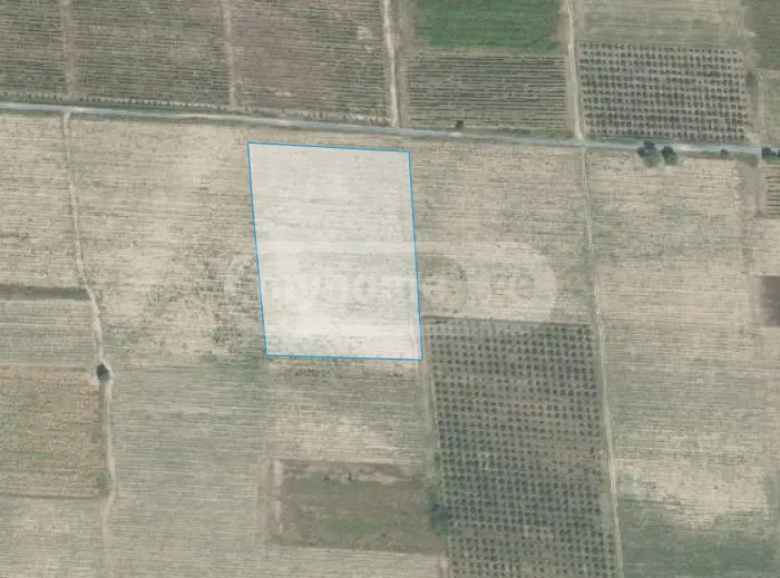 Agricultural Plot For Sale In Kvareli view 4