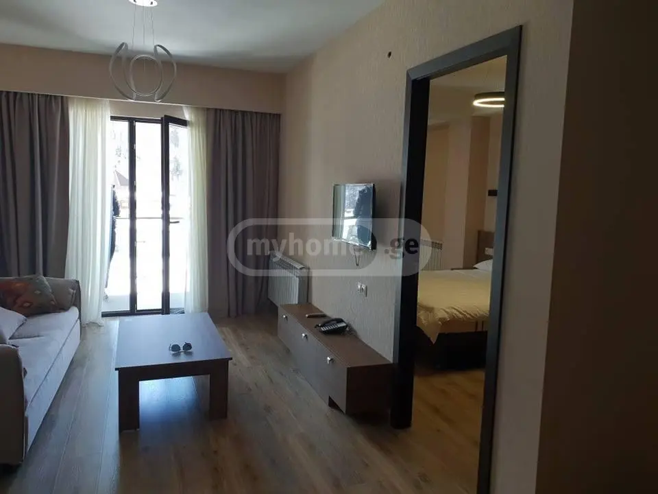 2 Room Hotel Daily Rent In Bakuriani view 2