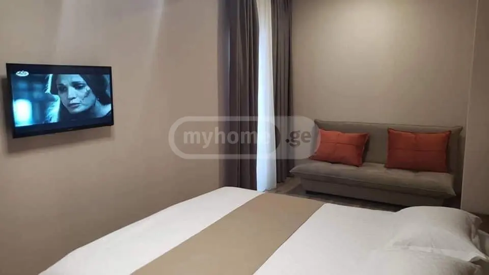 2 Room Hotel Daily Rent In Bakuriani view 6