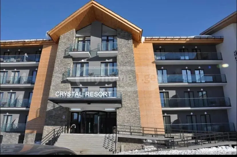 2 Room Hotel Daily Rent In Bakuriani view 8