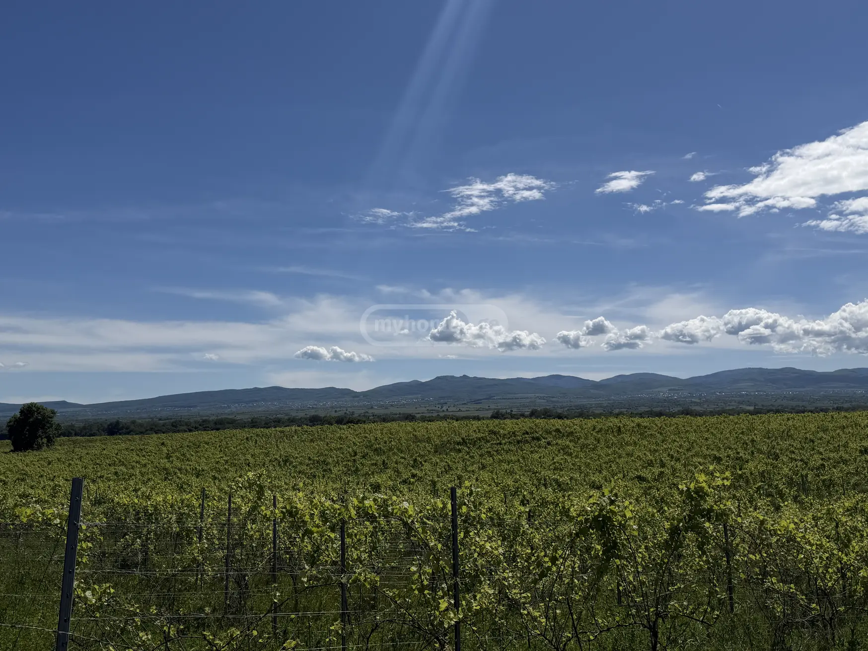 იყიდება Agricultural Plot In Kvareliში view 3