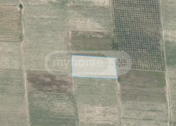 Agricultural Plot For Sale In Kvareli view 5