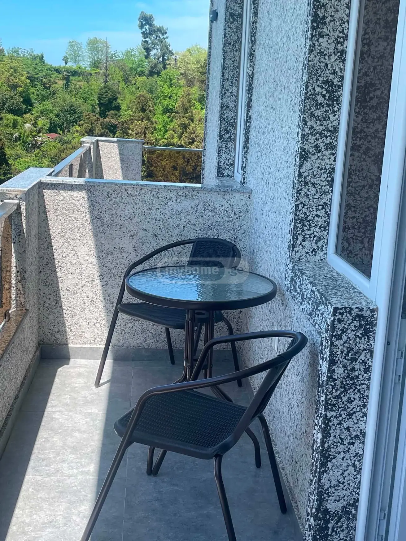 10+ Room Private House Daily Rent In Makhinjauri, In Batumi view 14