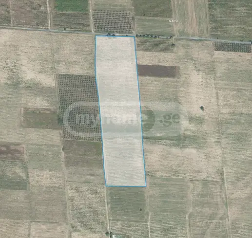იყიდება Agricultural Plot In Kvareliში view 5