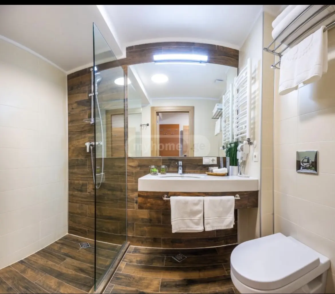 1 Room Hotel Daily Rent In Bakuriani view 7