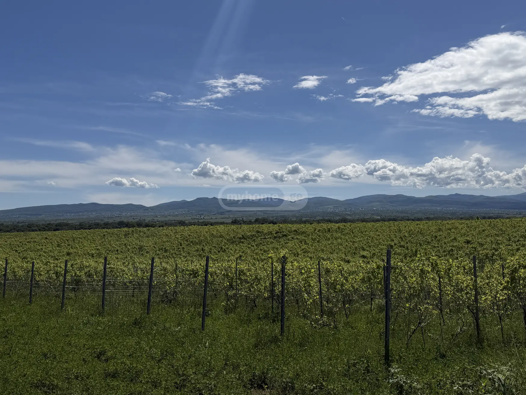 იყიდება Agricultural Plot In Kvareliში view 2