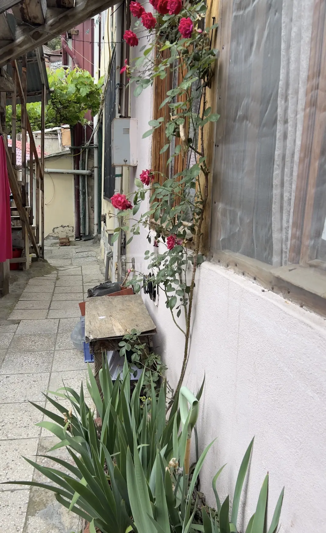 2 Room Private House For Sale view 11