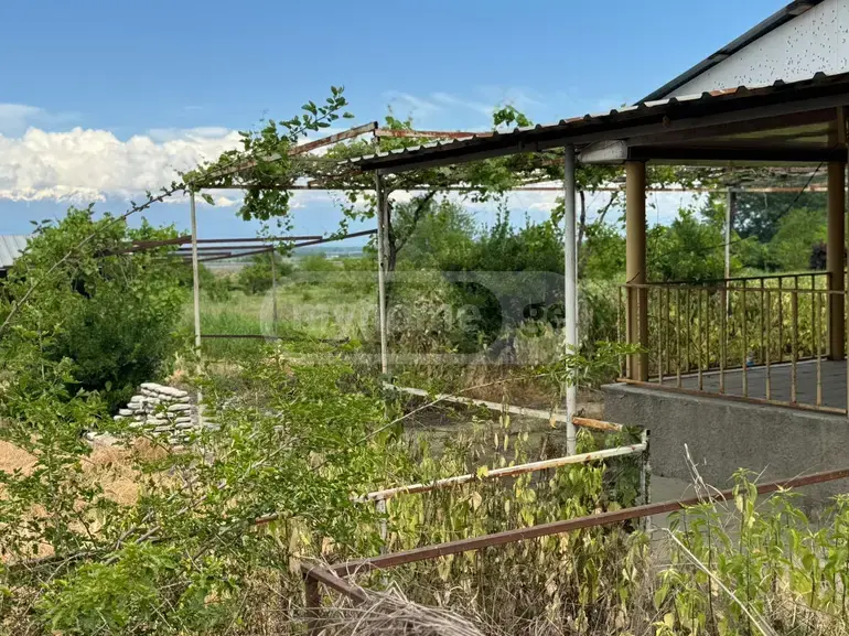 Agricultural Plot For Sale In Gurjaani view 5