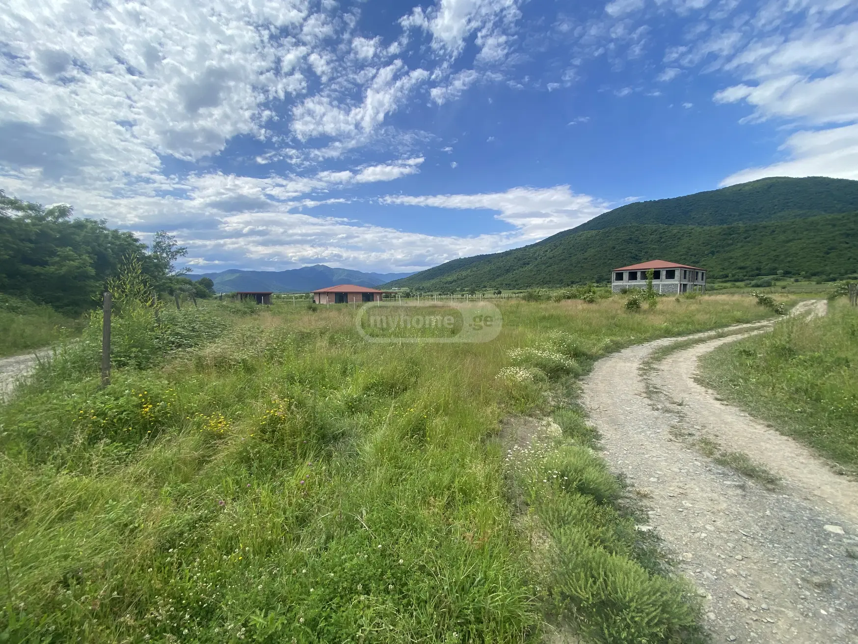 Agricultural Plot For Sale In Artana, In Telavi Municipality view 5